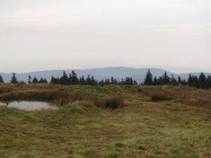 On top of the Brocken