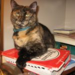 My cat Mokka guarding a dictionary