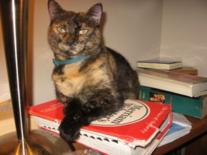 My cat Mokka guarding a dictionary